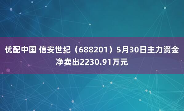 优配中国 信安世纪（688201）5月30日主力资金净卖出2230.91万元