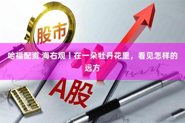 哈福配资 海右观丨在一朵牡丹花里，看见怎样的远方