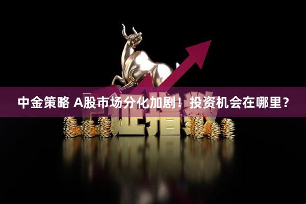 中金策略 A股市场分化加剧！投资机会在哪里？