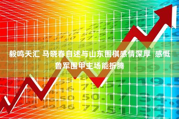 毅鸣天汇 马晓春自述与山东围棋感情深厚  感慨鲁军围甲主场能折腾