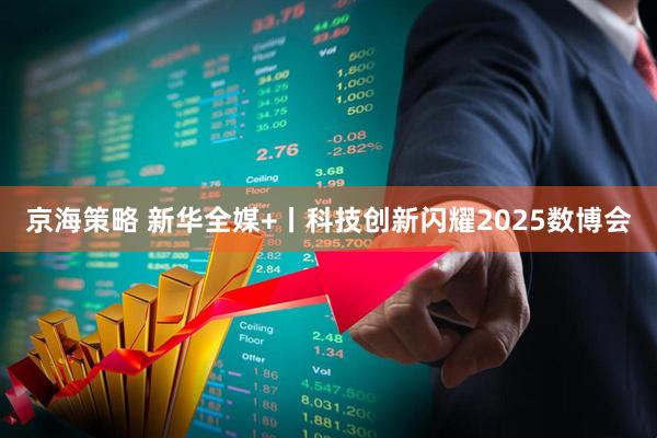 京海策略 新华全媒+丨科技创新闪耀2025数博会