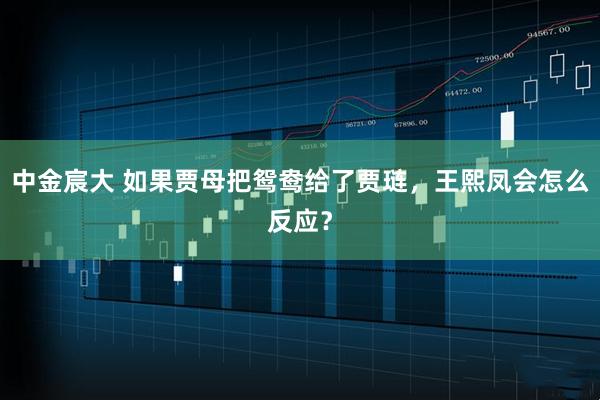 中金宸大 如果贾母把鸳鸯给了贾琏，王熙凤会怎么反应？