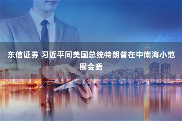 东信证券 习近平同美国总统特朗普在中南海小范围会晤
